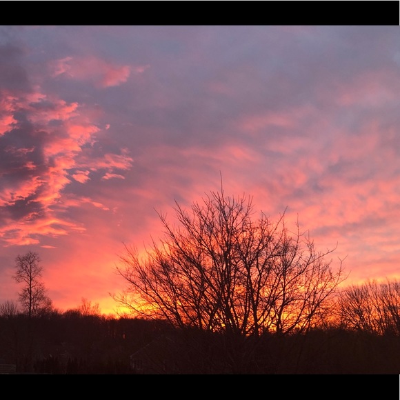 Meet your Posher, Jess - Picture 1 of 1